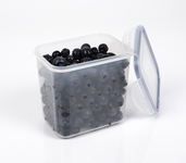 <p>Camp4 Frischhaltebox 0,85 l</p>