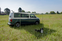<p>Cappottina parasole per autobus Charly & Charlyne</p> - Sonnenvd. Charlyne 1.8
