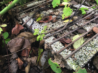 : CASUSGRILL - La griglia : CASUSGRILL - La griglia ecologica monouso