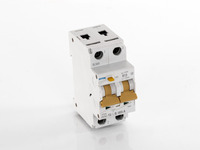 Disjoncteur 13A avec disjoncteur différentiel, sans boîtier Disjoncteur 13A avec disjoncteur différentiel, sans boîtier