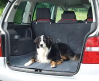 Boot beskyttelse til hunde COLLINETTE, 147x120cm