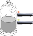 Preview: LevelCheck Preview: LevelCheck