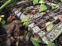 : CASUSGRILL - La griglia : CASUSGRILL - La griglia ecologica monouso