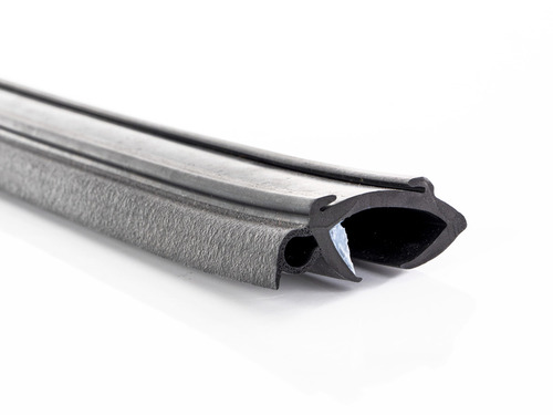 Gum.prof.Polypl.Aus.Fe.Fe.Fe.Me