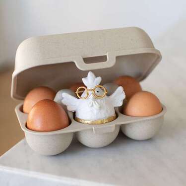 EGGS TO GO - 6 egg box mini