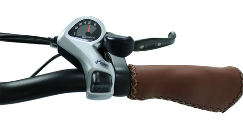 E-Bike FRIDA 24" graumatt