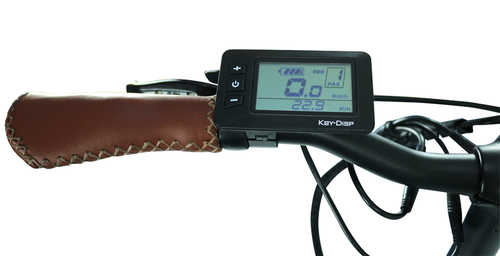 E-Bike FRIDA 24" graumatt