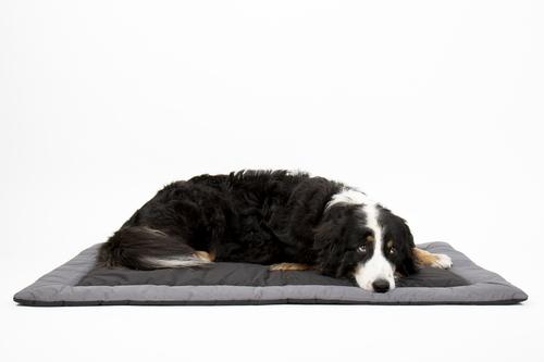 Outdoor blanket for dogs ABBY