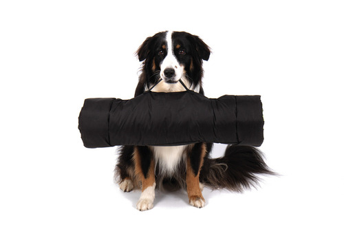 Outdoor blanket for dogs ABBY