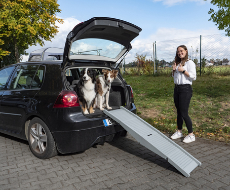Plastikrampe til hunden Emma