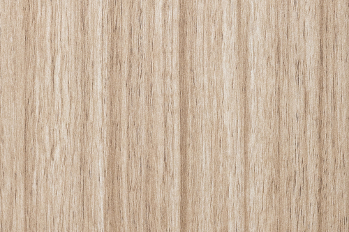 Möb.Platte Eiche hell