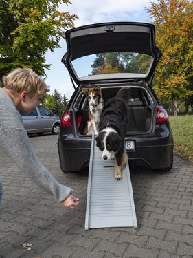 Plastikrampe til hunden Emma