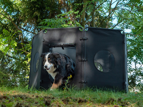 Folding dog outdoor enclosure